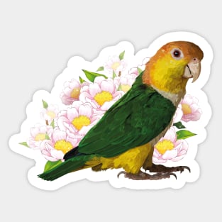 caique Sticker